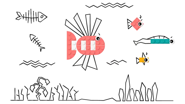 배고픈 라이언피쉬