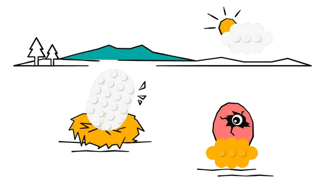 알에서 무엇으로